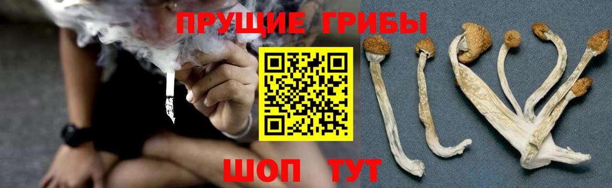 Псилоцибиновые грибы ЛСД  Вход с VPN  Железноводск 